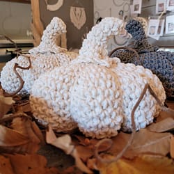 Haakpakket Pompoen DIY