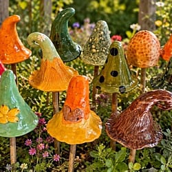 Workshop Keramiek paddenstoelen