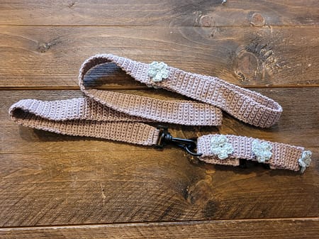 Set halsbandje en riem